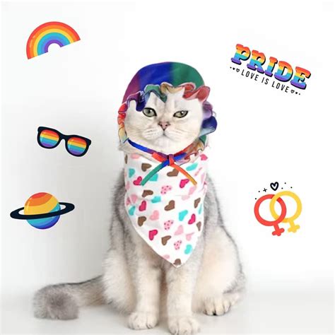 disfraz orgullo gay|Accesorios del Orgullo Gay